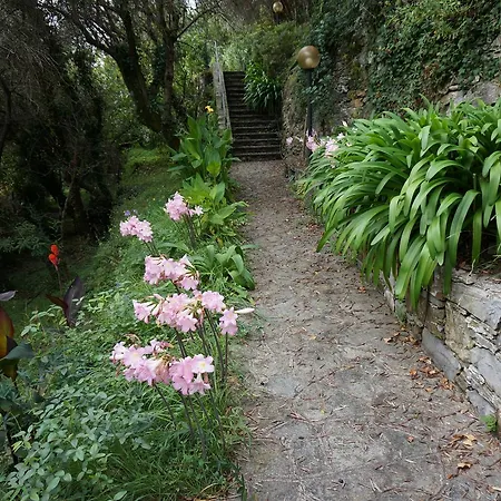 Casa Del Nespolo * Zoagli