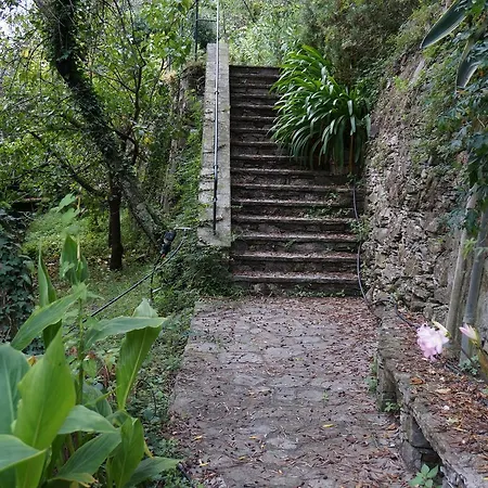 Villa Casa Del Nespolo *